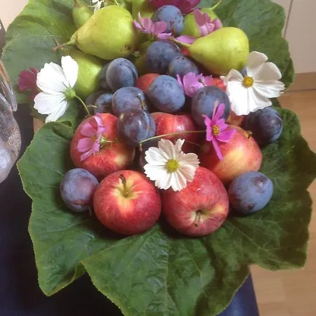 Bed & Breakfast Bbmarlene