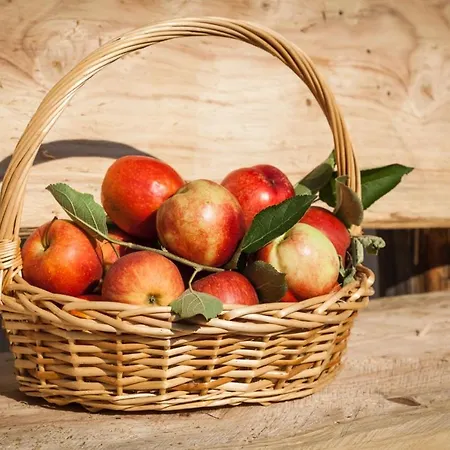 Bbmarlene Bed & Breakfast